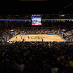 Why Choose Ziptie AI Search Performance Tool?